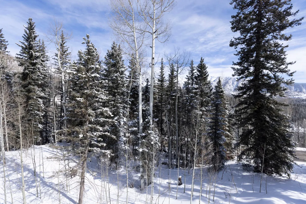 The image captures a serene mountain vista with snow-covered trees, distant peaks, and a clear blue sky. It evokes the tranquility and beauty of the surrounding area, highlighting opportunities for outdoor fun in all seasons.
